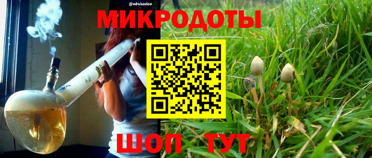 Кушва  Галлюциногенные грибы Psilocybe  Галлюциногенные грибы Psilocybe  Вход с VPN 